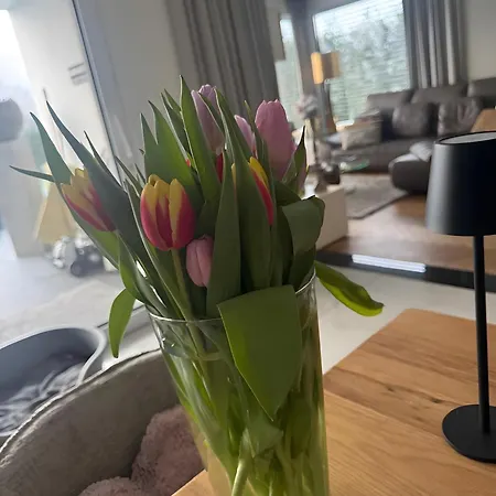 Exklusive Schaffner Villa *